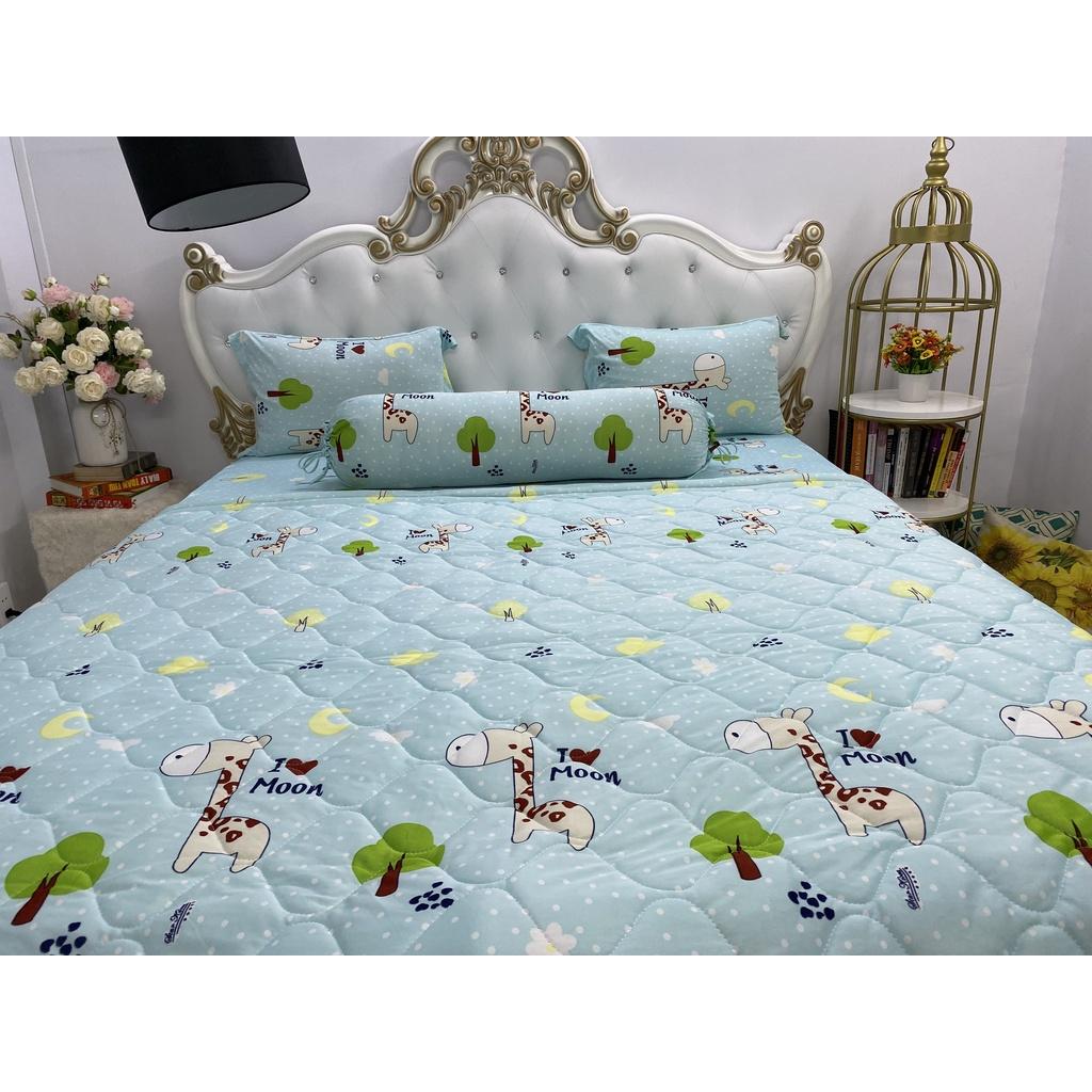 Bộ drap KÈM MỀN thun lạnh Hàn Quốc 5 món