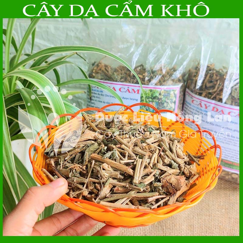 Cây dạ cẩm khô sạch đóng gói 500gram