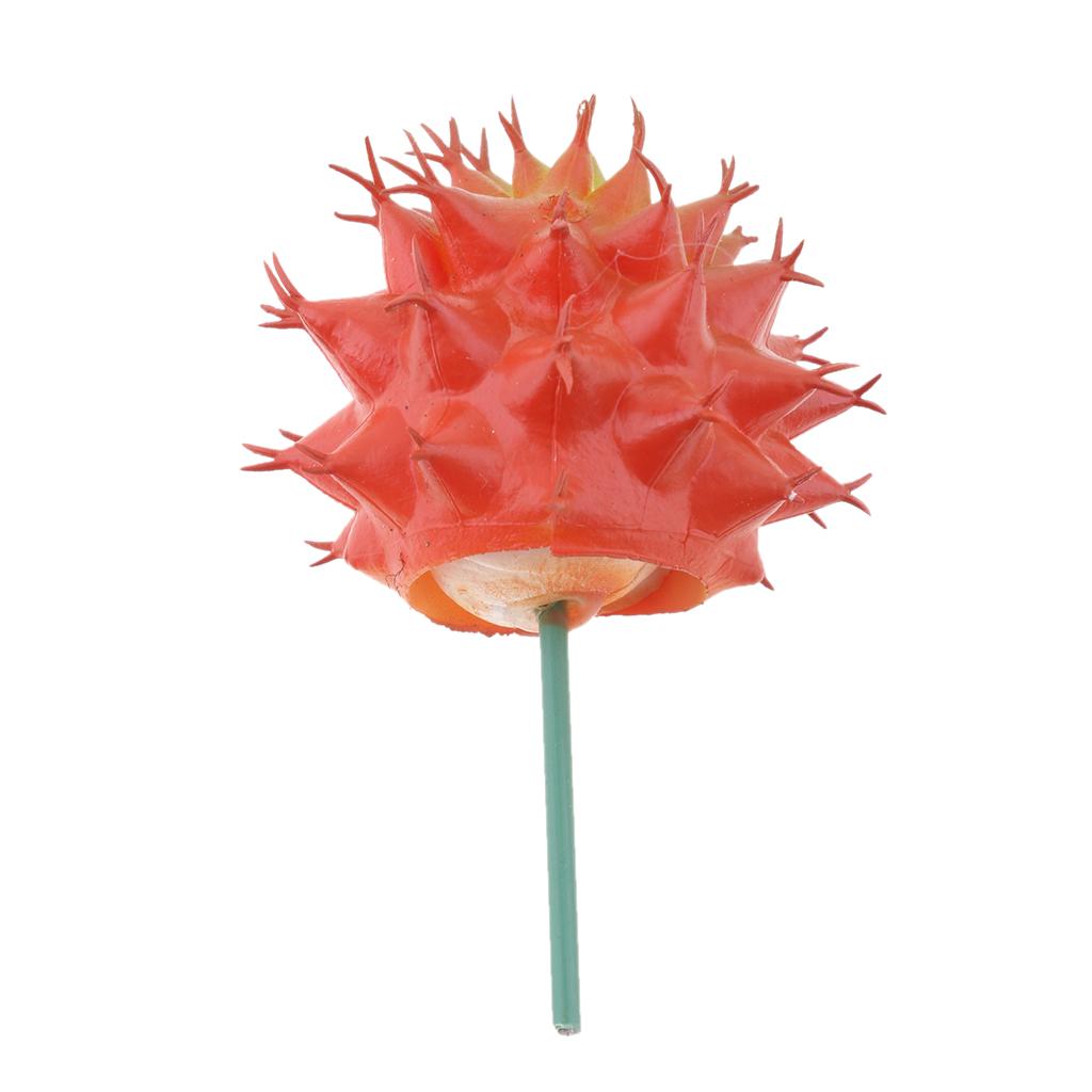 Cactus Artificial Plant Plastic Succulent Cactus Office Garden Home Plant #1