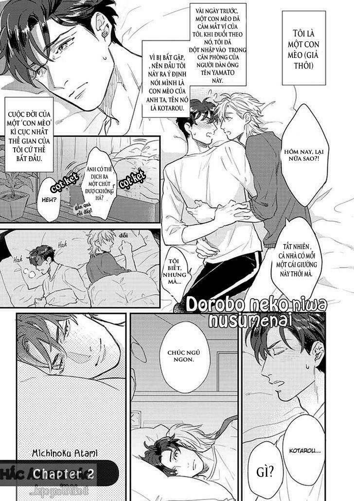 dorobou neko ni wa nusumena chapter 2 2