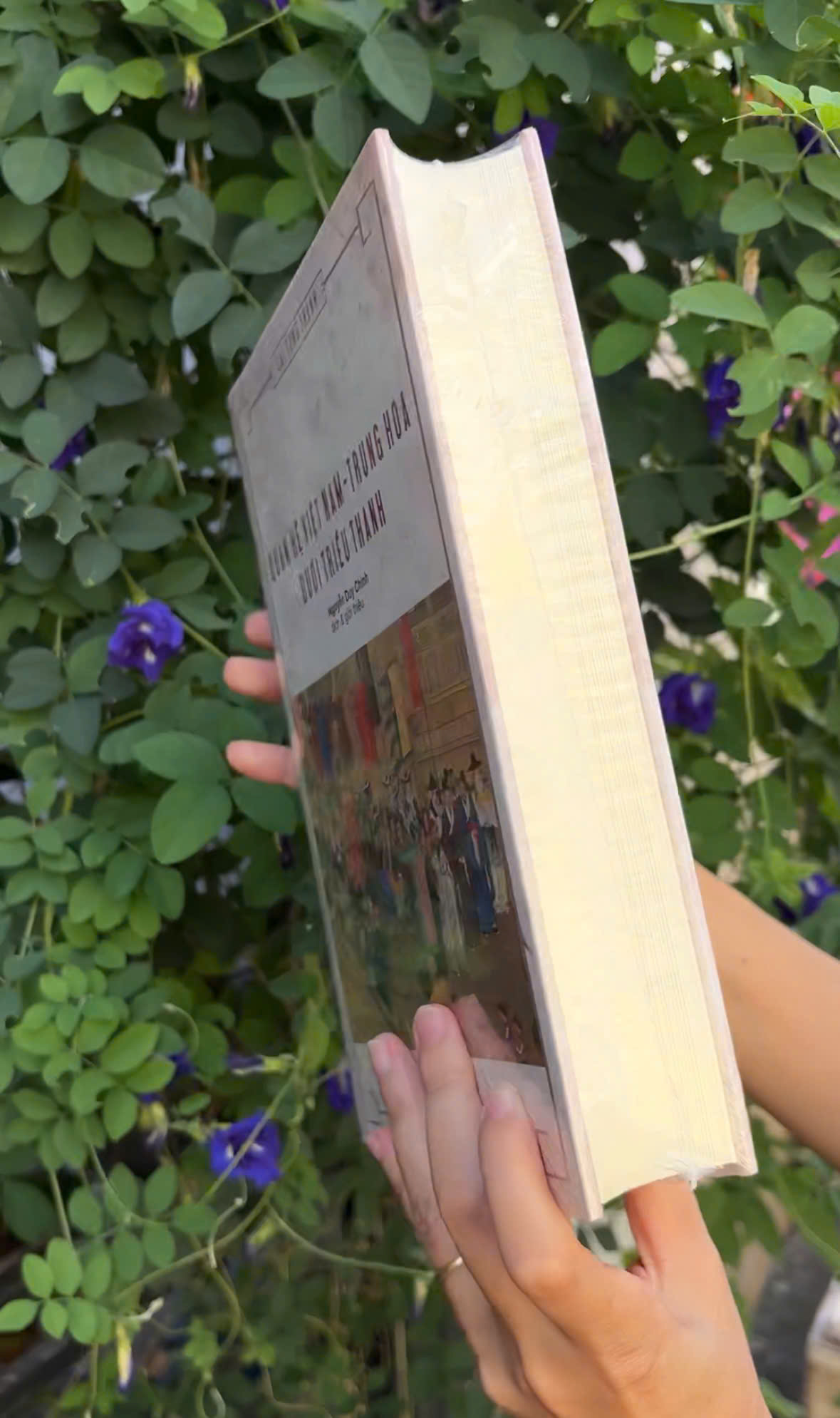 Quan hệ Việt Nam - Trung Hoa dưới triều Thanh (Bìa cứng)