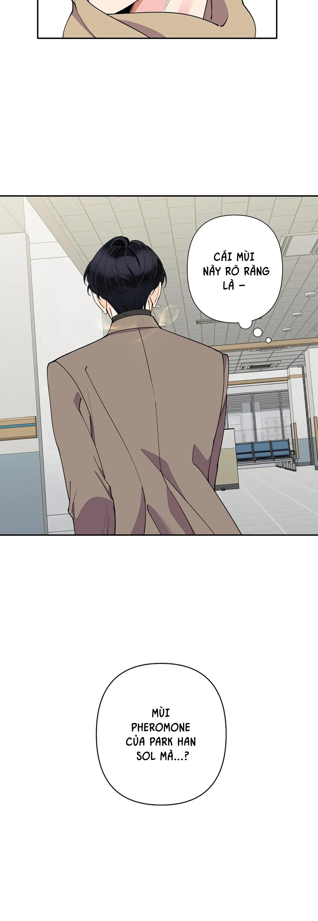 đêm dịu dàng chapter 8 20