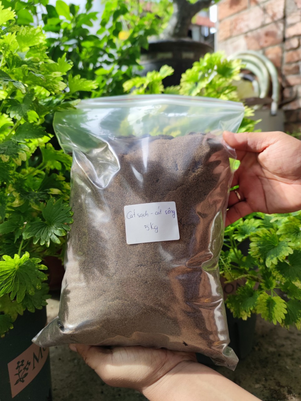 Cát sạch túi 5KG - Cát dùng trong xây dựng và lĩnh vực nông nghiệp