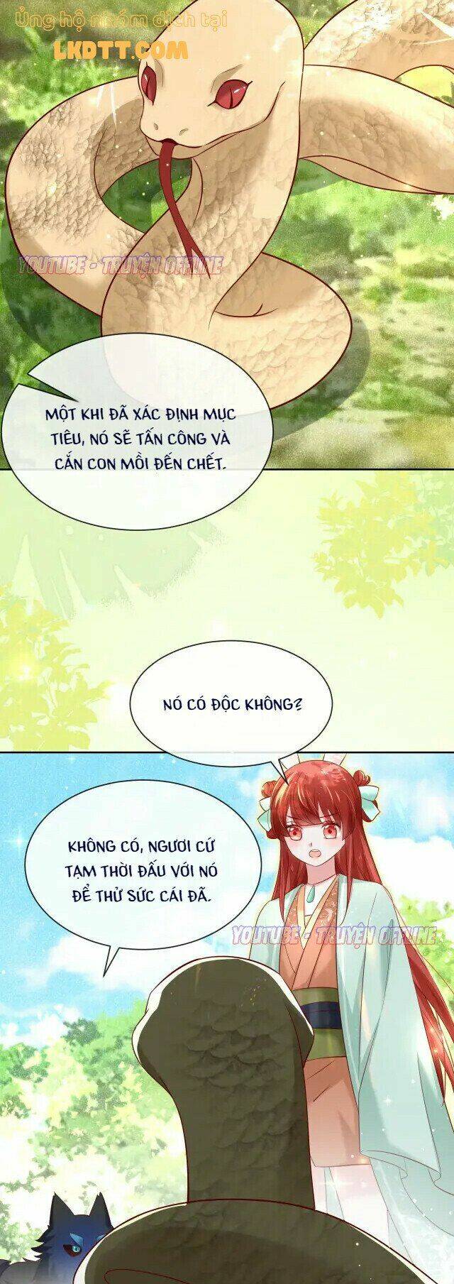 hắc hóa nam chính trực tuyến nuôi thỏ chapter 30 8