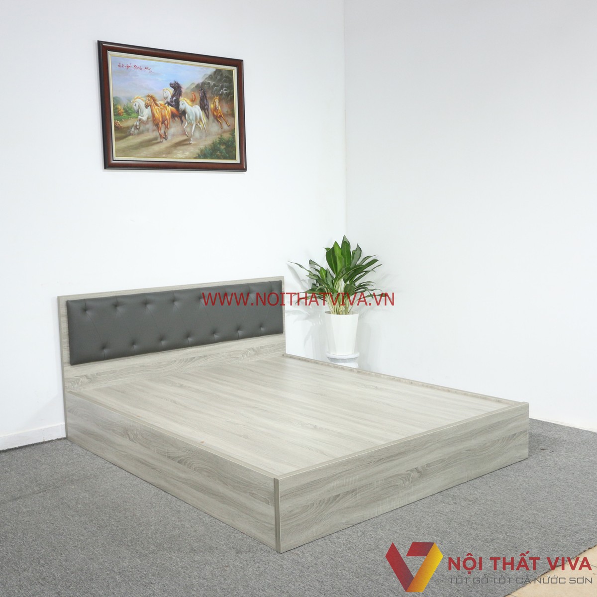 Giường Ngủ Gỗ MDF Melamine Màu Xám Vân Gỗ Có Đầu Nệm Đen Đẹp Hiện Đại