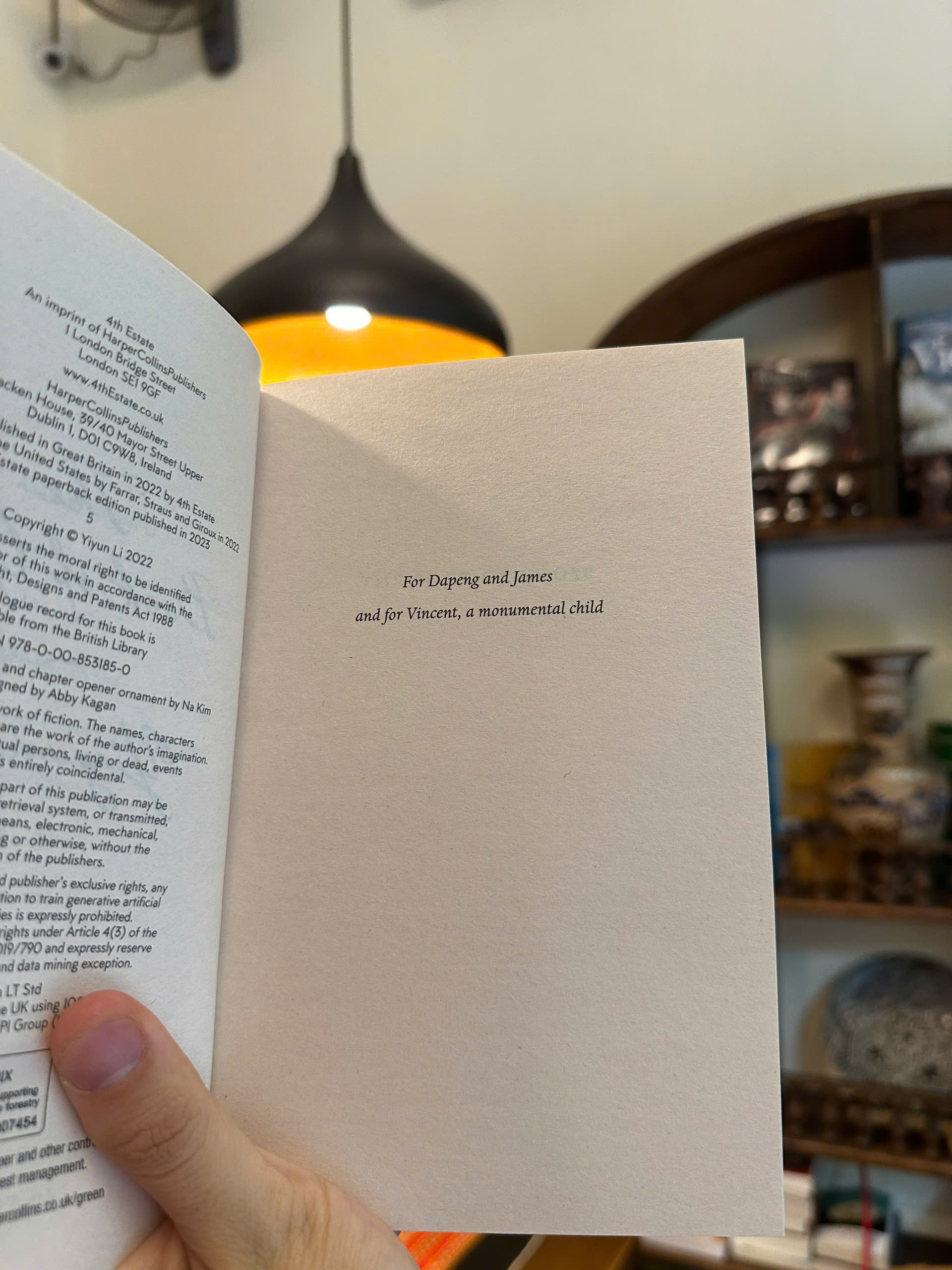 Sách - The Book of Goose by Yiyun Li | Historical Fiction / Tiểu thuyết Lịch sử/ Ngoại văn Nhập khẩu