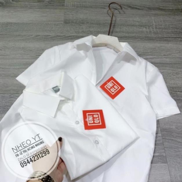 Áo sơ mi trắng tay cộc