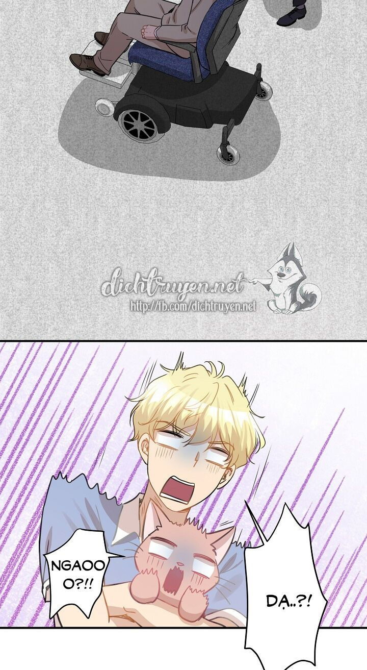 cuộc sống kỳ thú chapter 36 59