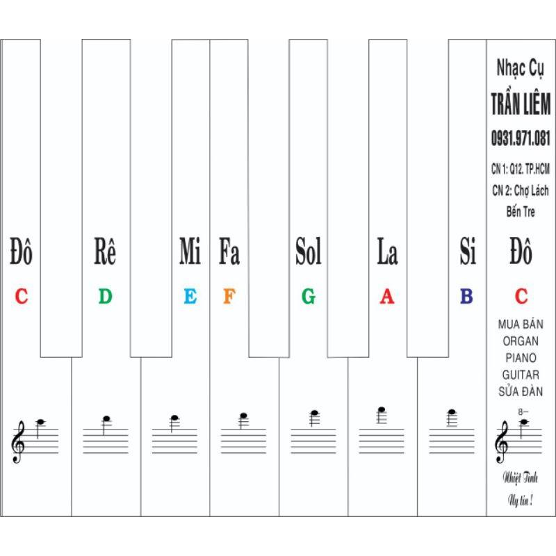 Decan Dán phím đàn Organ Chống xước phím có sẵn tên nốt nhạc