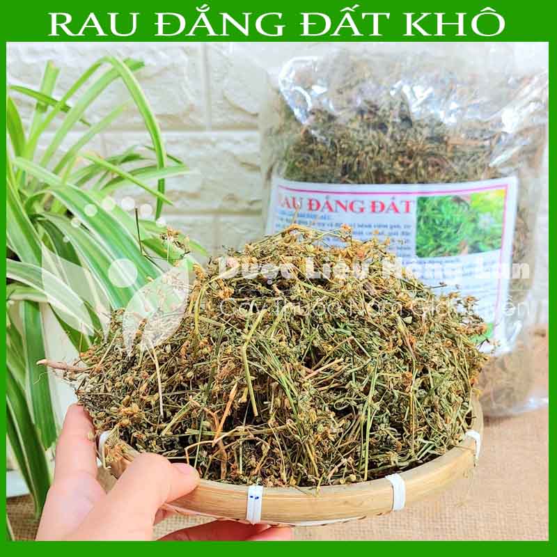 Cây Rau Đắng Đất khô sạch đóng gói 500gram