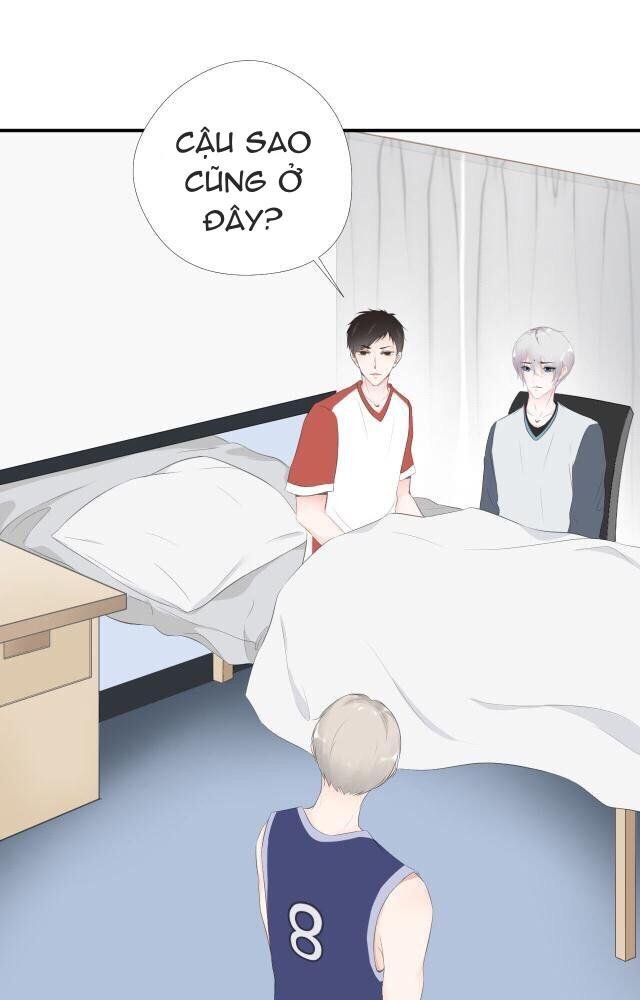 nỗi nhớ ngàn năm chapter 12 14