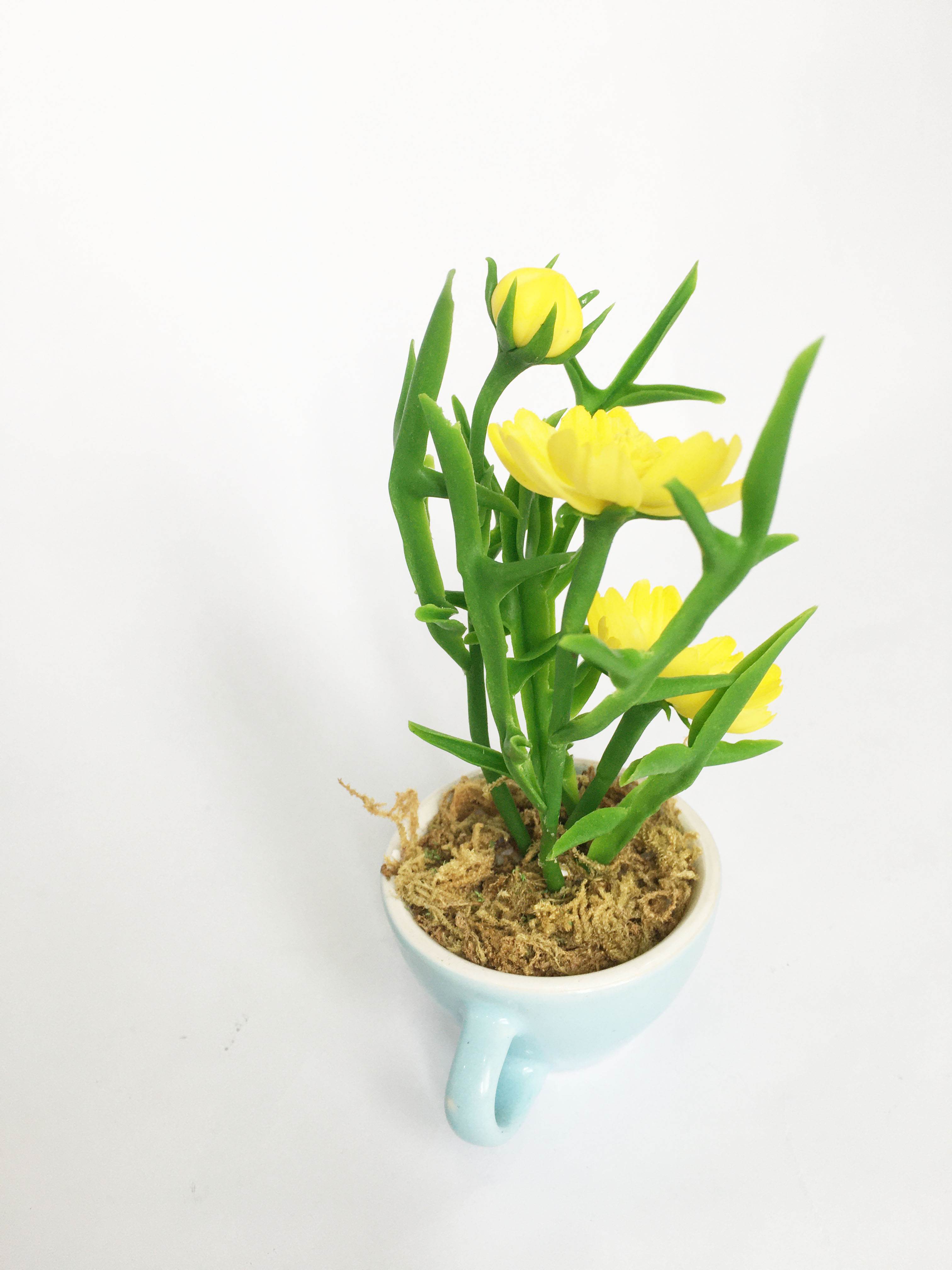 Chậu hoa đất sét mini- Bụi sao nhái trong cốc - Quà tặng trang trí handmade