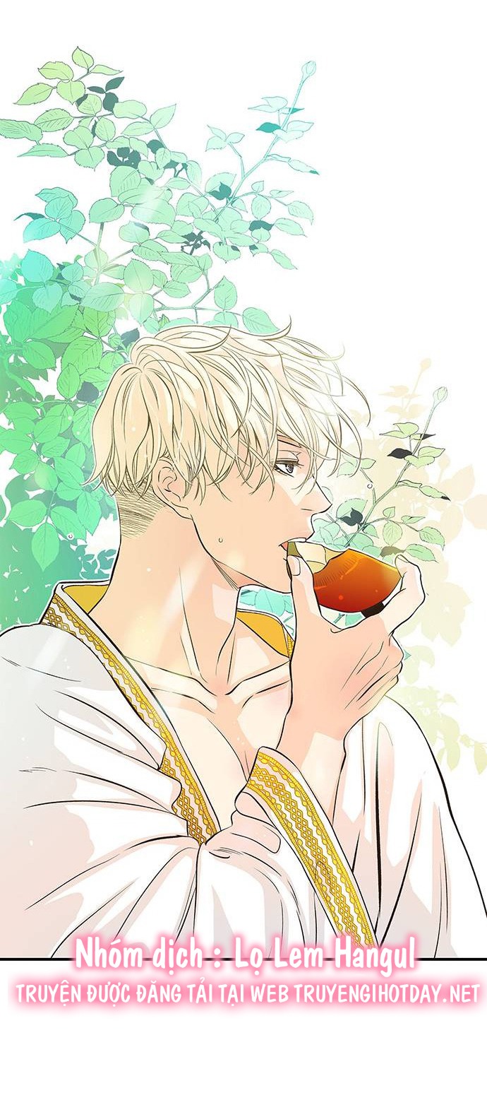 hoàng tử phiền toái chapter 2 28