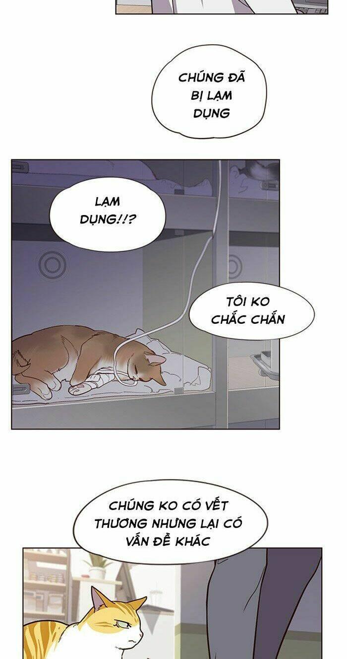 biến thân thành mèo chapter 10 48