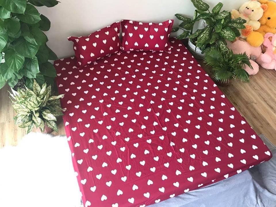Set 5 món chăn hè ga chun Cotton Poly - Tim Đỏ - Tặng kèm 1 móc khóa Houston