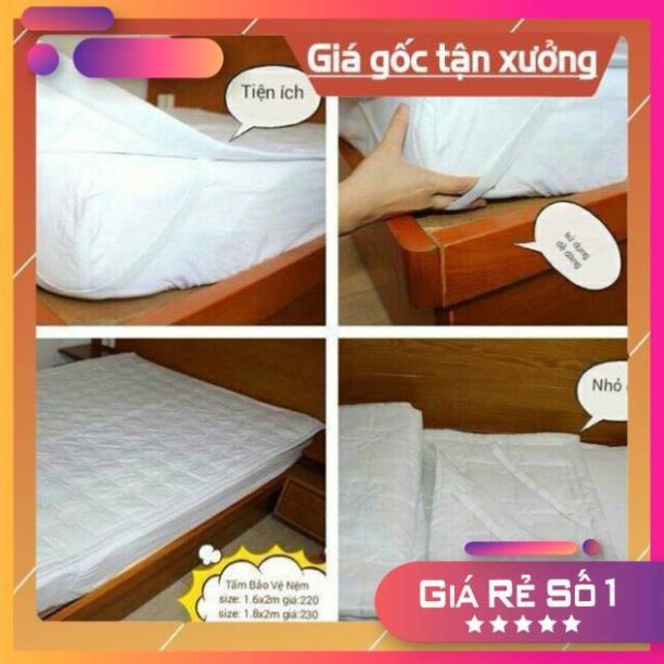 TẤM BỌC BẢO VỆ NỆM COTTON CAO CẤP