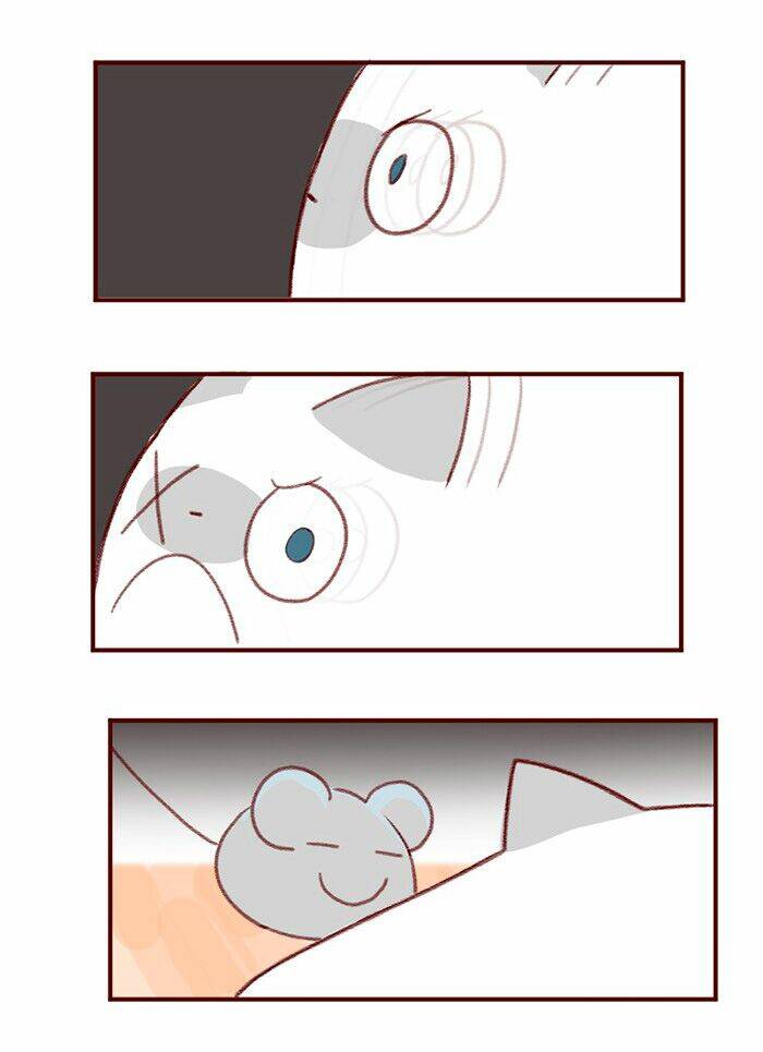 saphie: chú mèo một mắt chapter 3 16