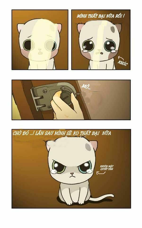 papi nyang chapter 1 24