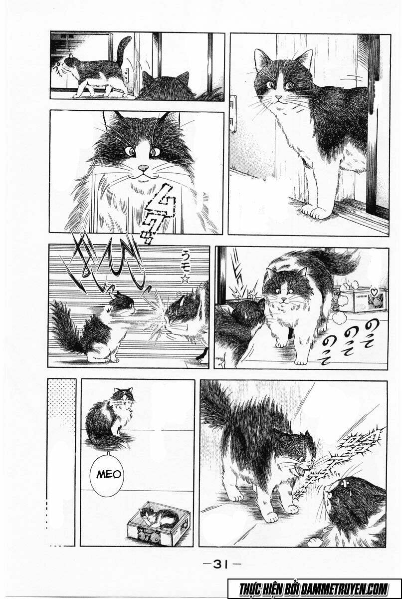 shin kotaro makaritoru! juudouhen chapter 27 8