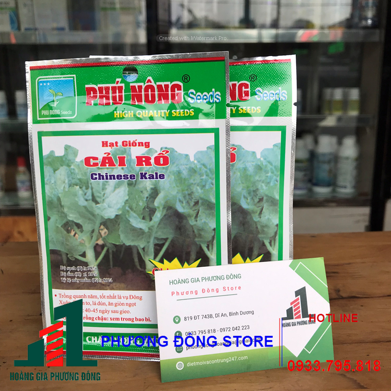Combo 5-10 gói hạt giống rau cải rổ trồng quanh năm , nảy mầm cao