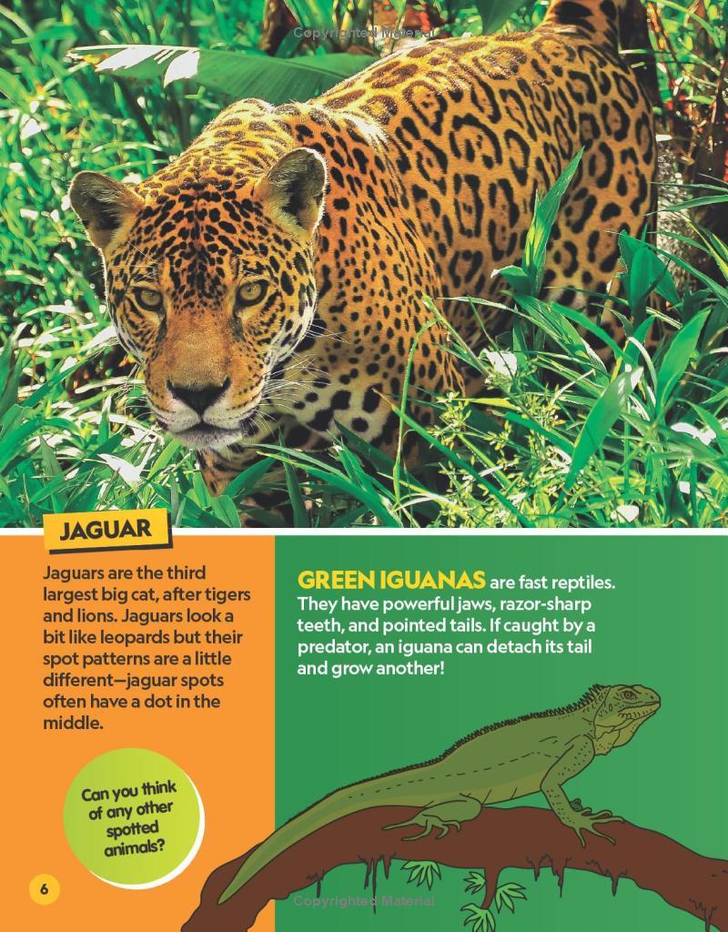 Sách ngoại văn: Find It! Explore It! Animals