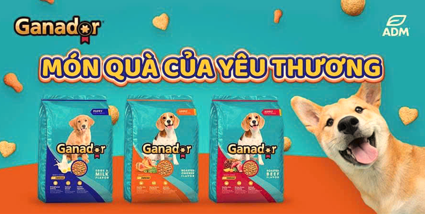 Combo 5 gói thức ăn cho chó trưởng thành Ganador vị gà nướng Adult Roasted Chicken Flavor 400gr