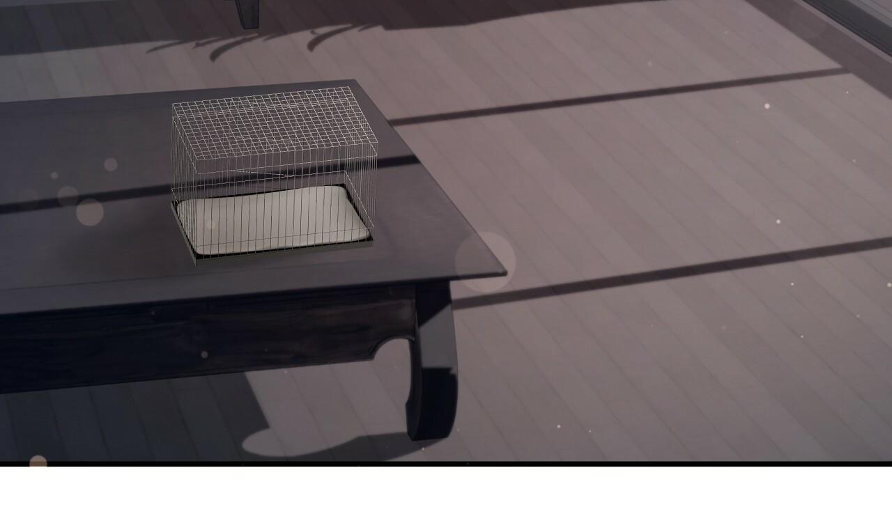 đàn thỏ của habibi chapter 47 229