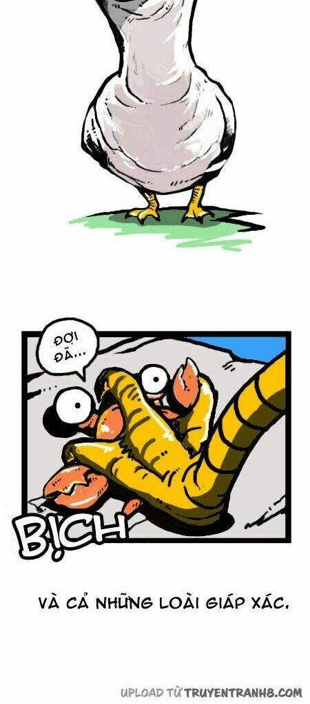 earth, human, and animal chapter 18 12