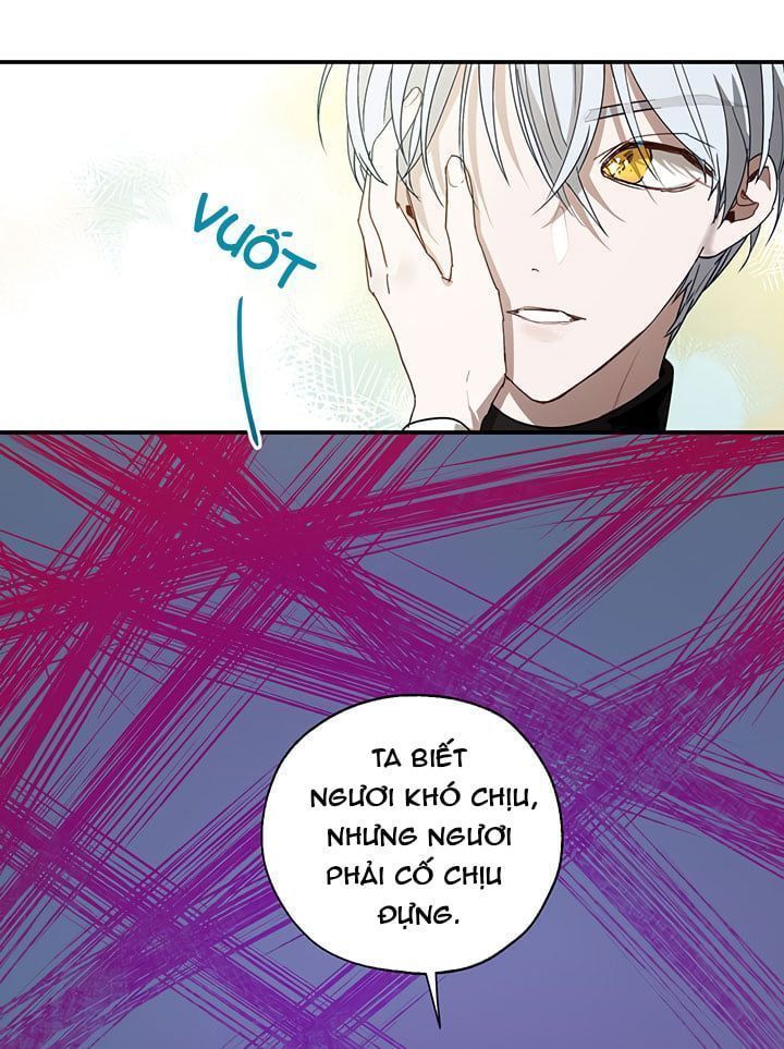 cách để cứu rỗi anh trai của nữ chính chapter 13 21