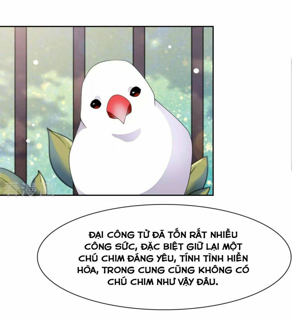 xuyên về cổ đại làm quốc bảo chapter 48 26