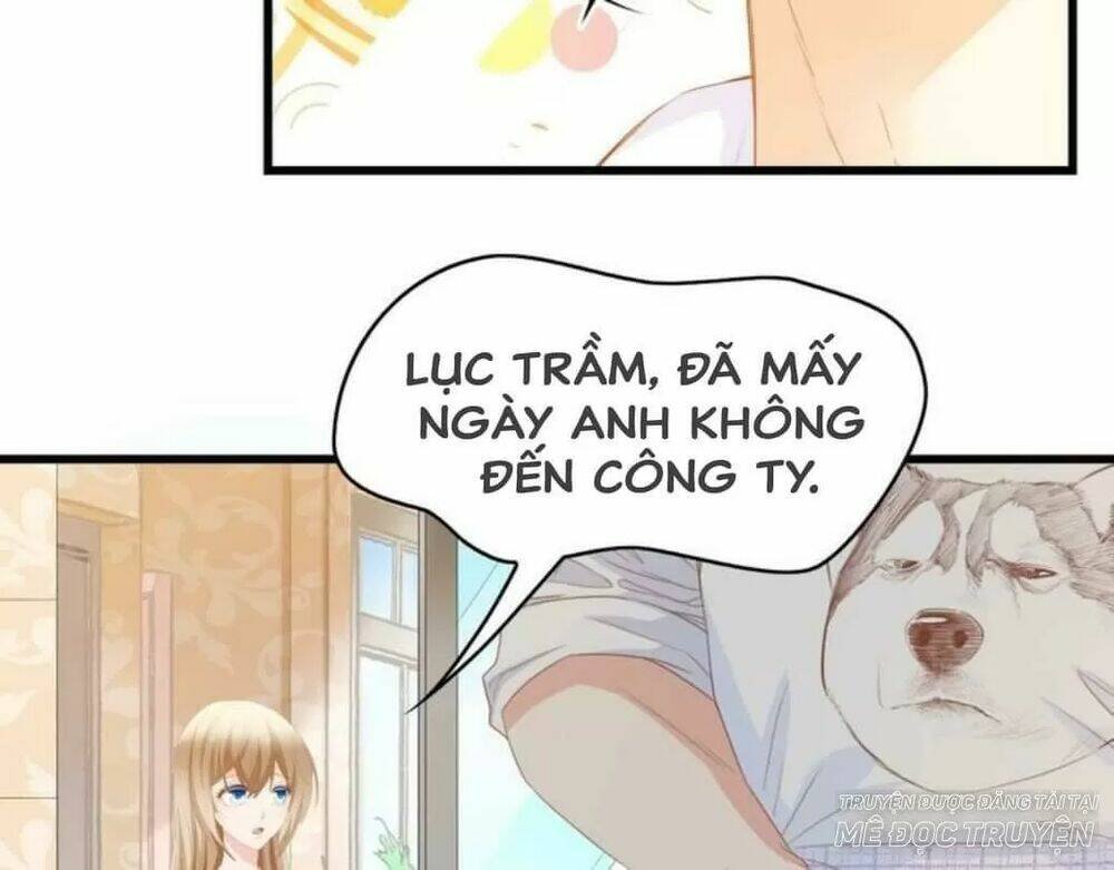 tổng tài đại nhân song mặt kiều thê chapter 30 6