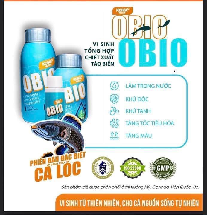 KOIKA OBIO Phiên Bản Dành Cho C.á LÓC