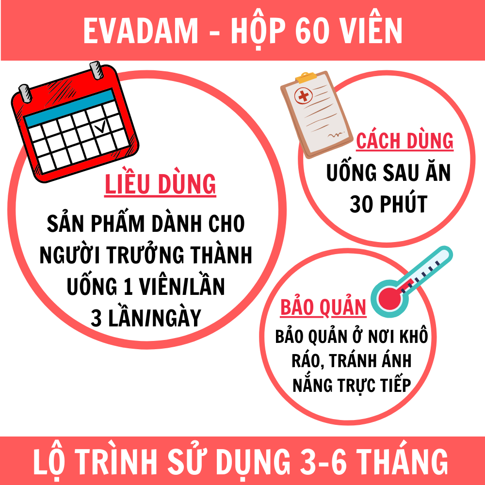 EVADAM - Hỗ trợ điều trị u vú, u nang buồng trứng, u xơ tử cung ở phụ nữ, u xơ phì đại lành tính tuyến tiền liệt ở nam giới, tiểu tiện khó khăn, tiểu nhiều lần, tiểu sót ở nam nữ giới