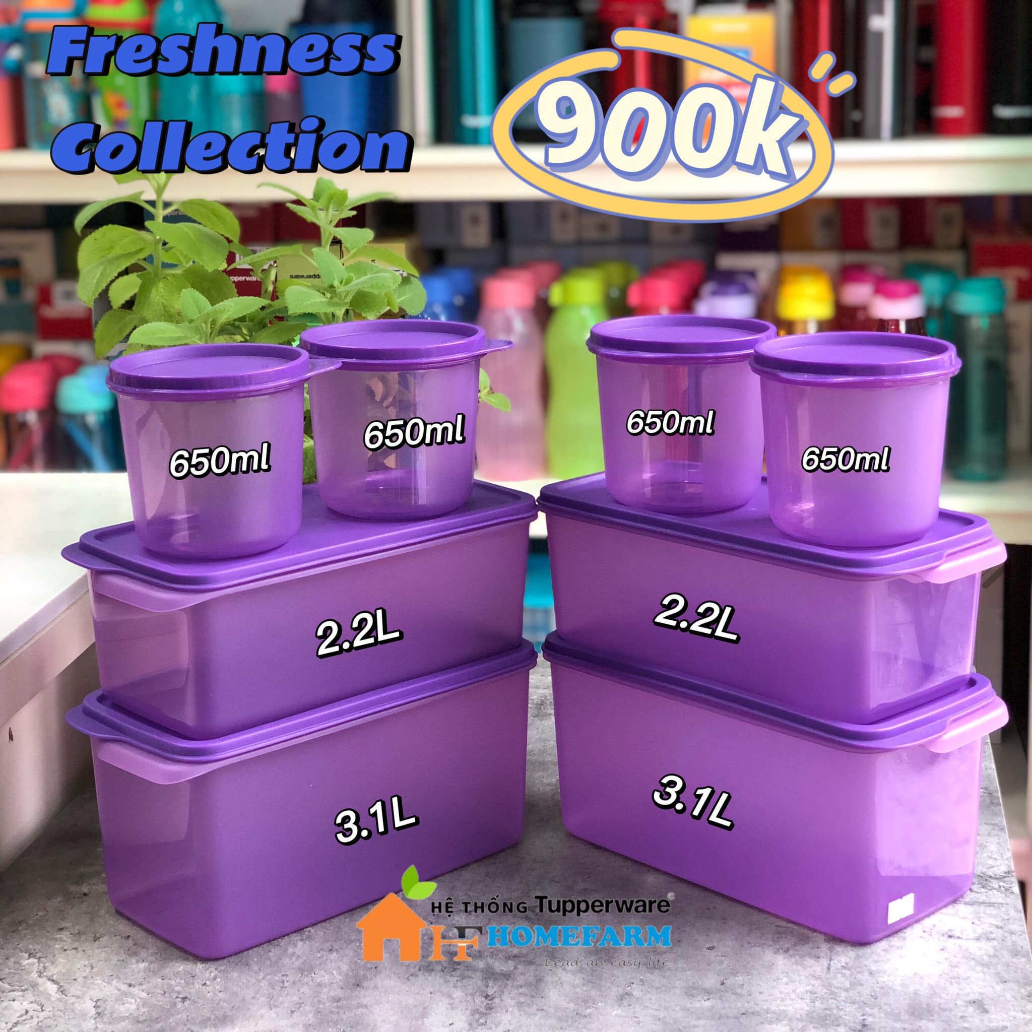 Bộ hộp BQTP Freshness Collection TUPPERWARE HÀNG CHÍNH HÃNG