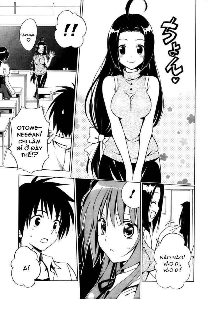 mayoi neko overrun! chapter 2 6