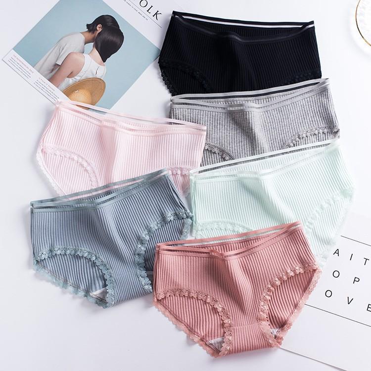 Quần Lót Cotton Tăm Cạp Viền xuất Nhật QL04