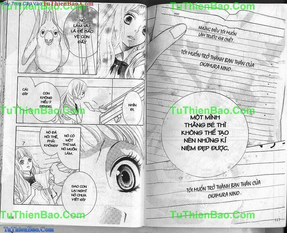 anh bạn bí ẩn chapter 1 59