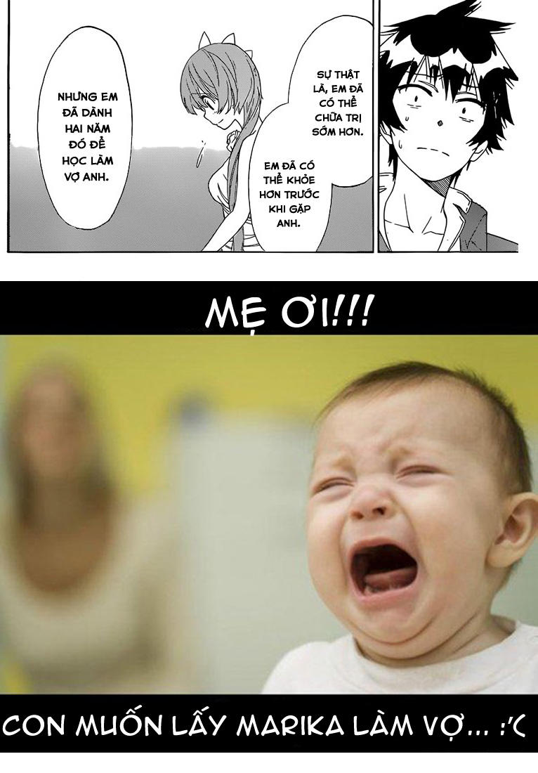 nisekoi - tình yêu giả tạo chapter 194 22