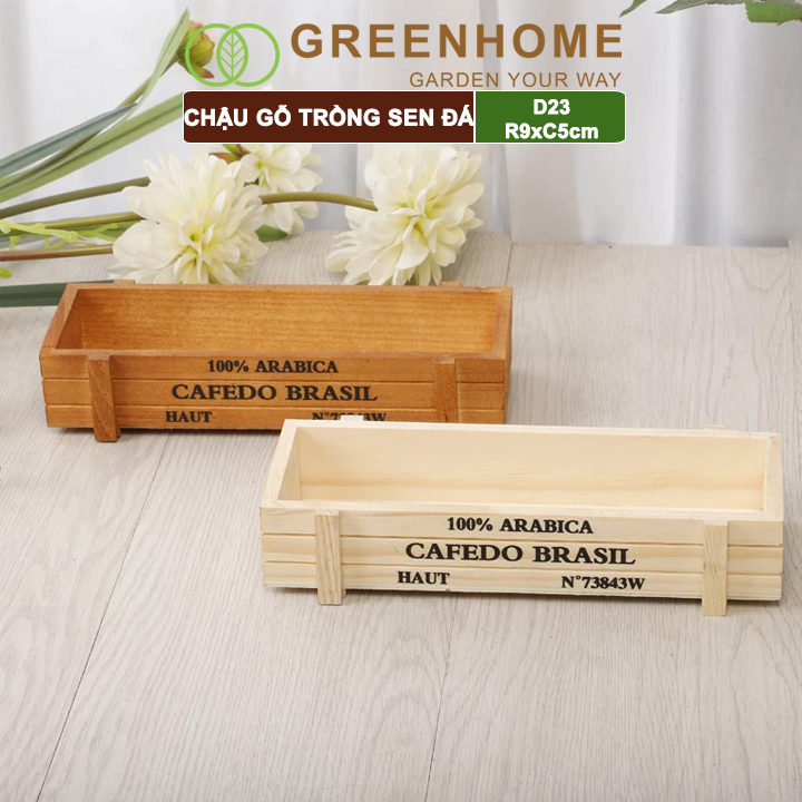 Chậu gỗ trồng sen đá Cafedo, D23xR9xC5cm, trang trí cây cảnh để bàn, xương rồng |Greenhome