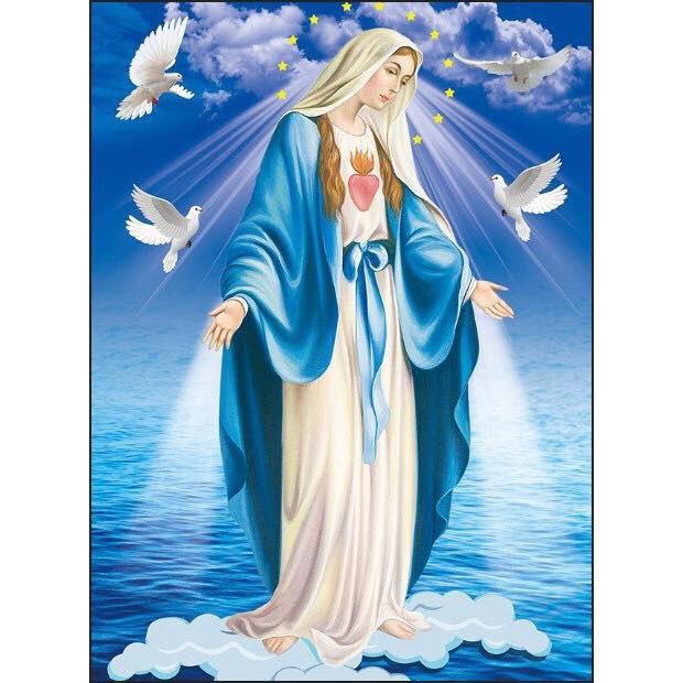 Tranh đính đá Đức mẹ ban ơn - AL88633 - 31x42cm