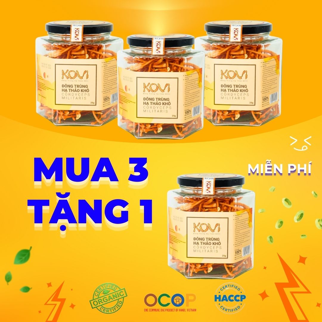 [Mua 3 tặng 1] Đông trùng hạ thảo KOVI khô sấy thăng hoa 25g | Combo ưu đãi