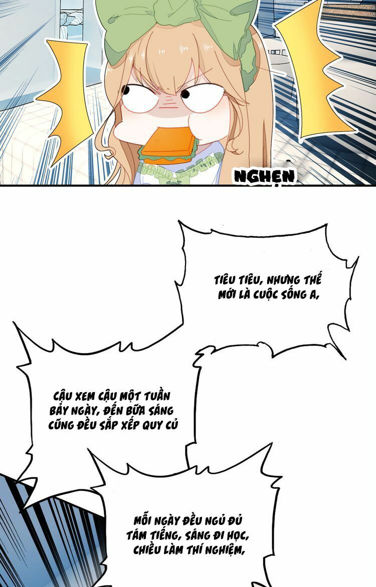 Ái Thượng Ngạo Kiều Long Vương Gia chapter 5 - Trang 30