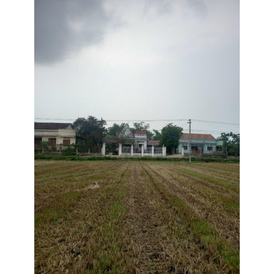Bịch 1 ký vỏ trấu tươi
