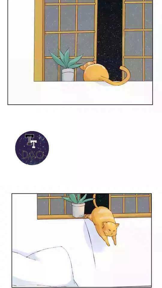 tôi không phải đa nhân cách chapter 17 8