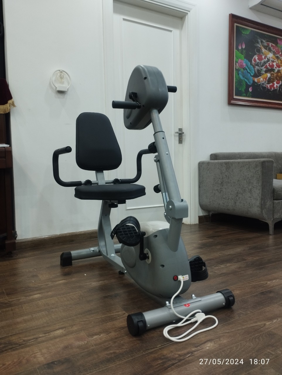 Xe đạp điện Dual E-Bike dành cho người chân tay yếu, hỗ trợ tập luyện bằng điện