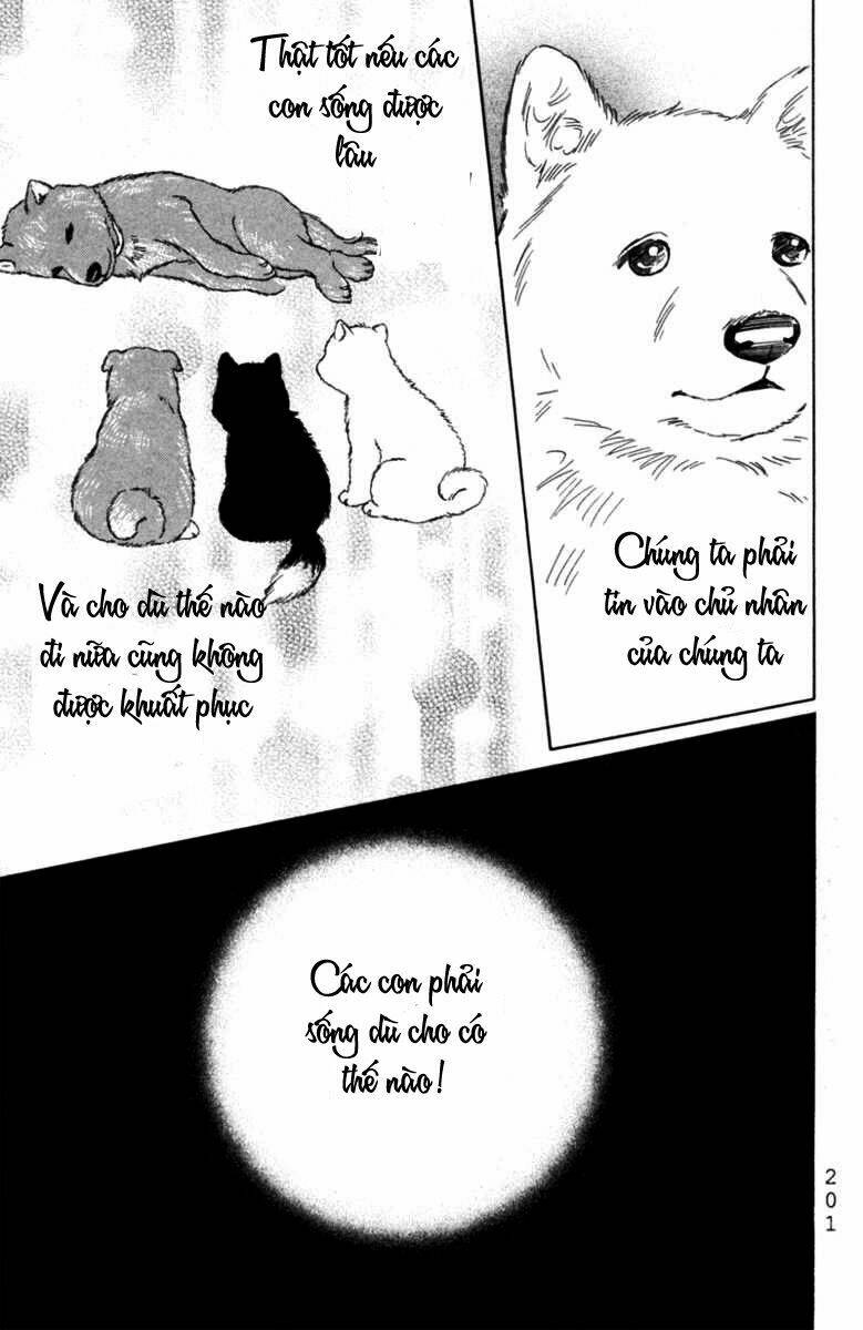 deep love - pao no monogatari chapter 6 32