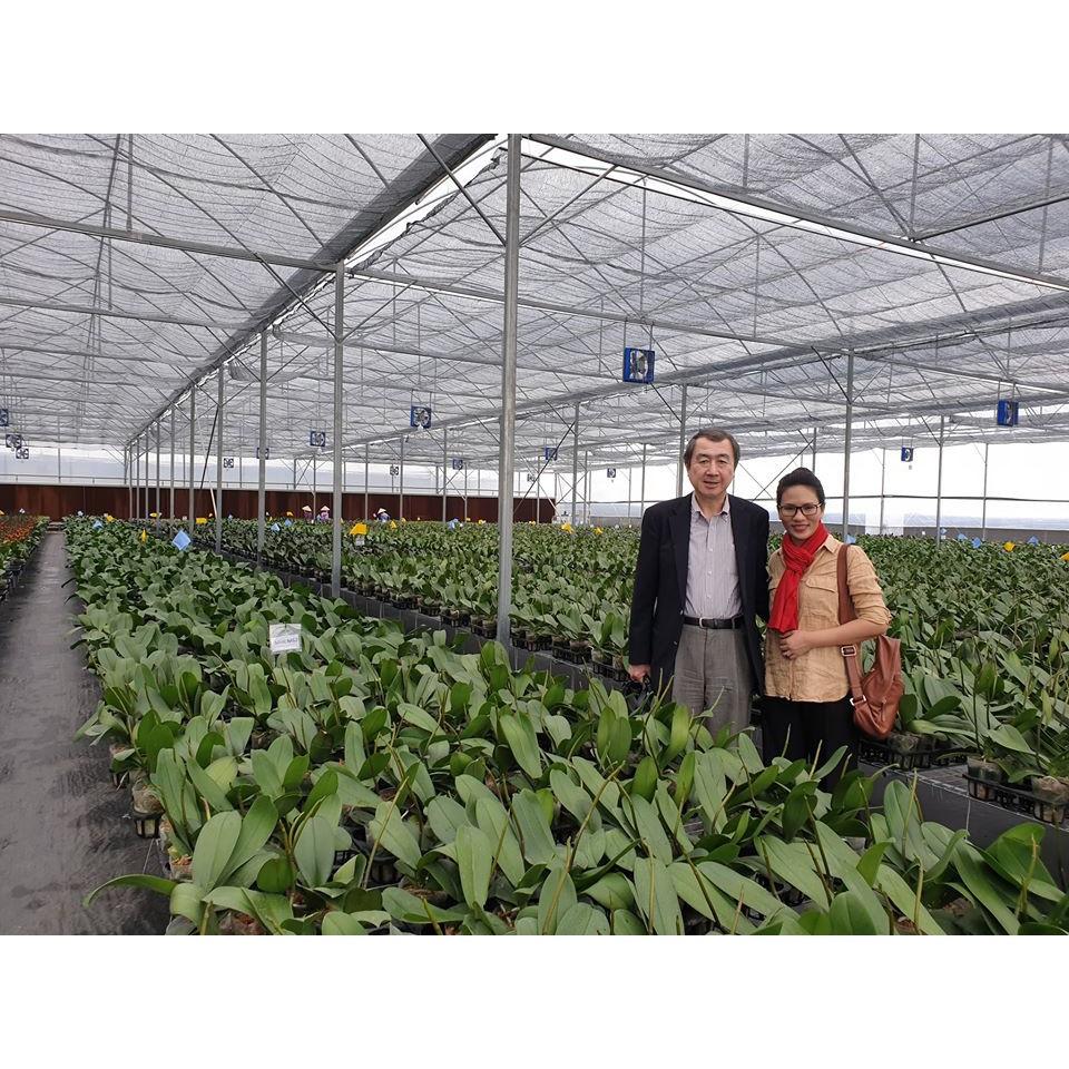PHÂN TAN CHẬM CHÌ NHẬT BẢN 14-13-13 NHẬP KHẨU GIÁ SỈ 180 NGÀY BÓN 1 LẦN