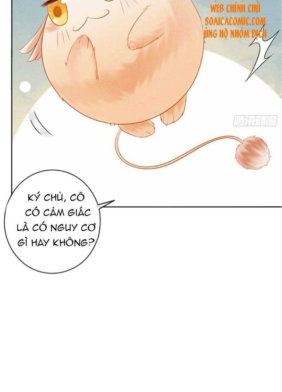 bắt đầu hủy hôn để công lược vương gia chapter 26 15