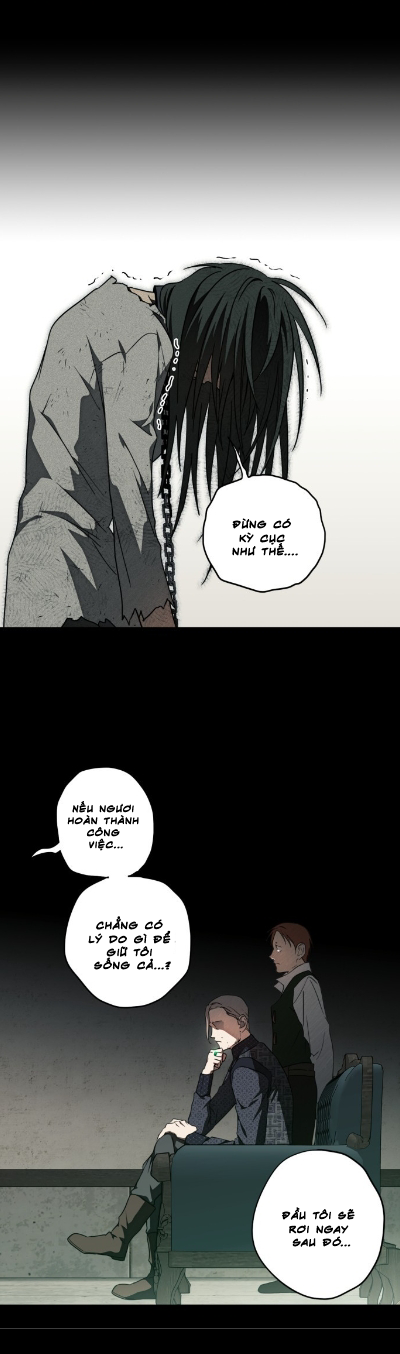 bị che khuất bởi ánh hoàng hôn chapter 76 18