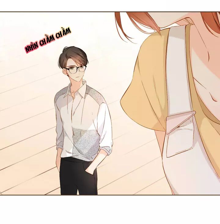 Tình yêu là màu hoa anh thảo chapter 35.3 8